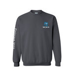 Finissant 2026 - Molleton Charbon - Logo couleur - École A.N.M.