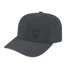 Casquette Flexfit charcoal  - Destiny